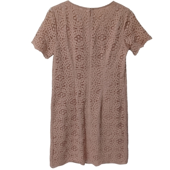 ANN Taylor Blush Lace Midi dress - Picture 3 of 5